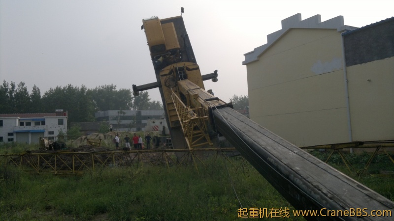 20120819445.jpg