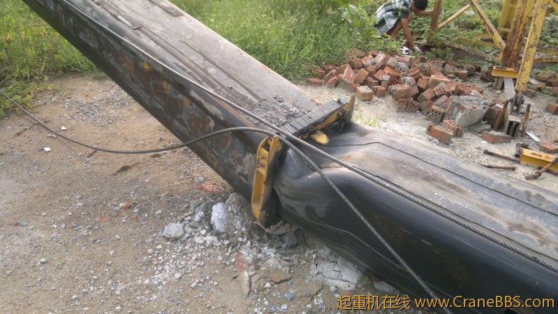 20120819444.jpg