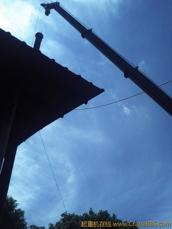 IMG_20120811_104536.jpg