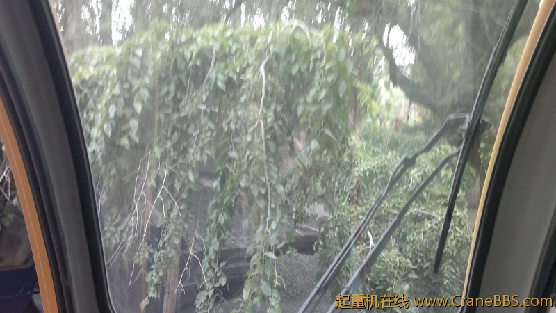 照片 014.jpg