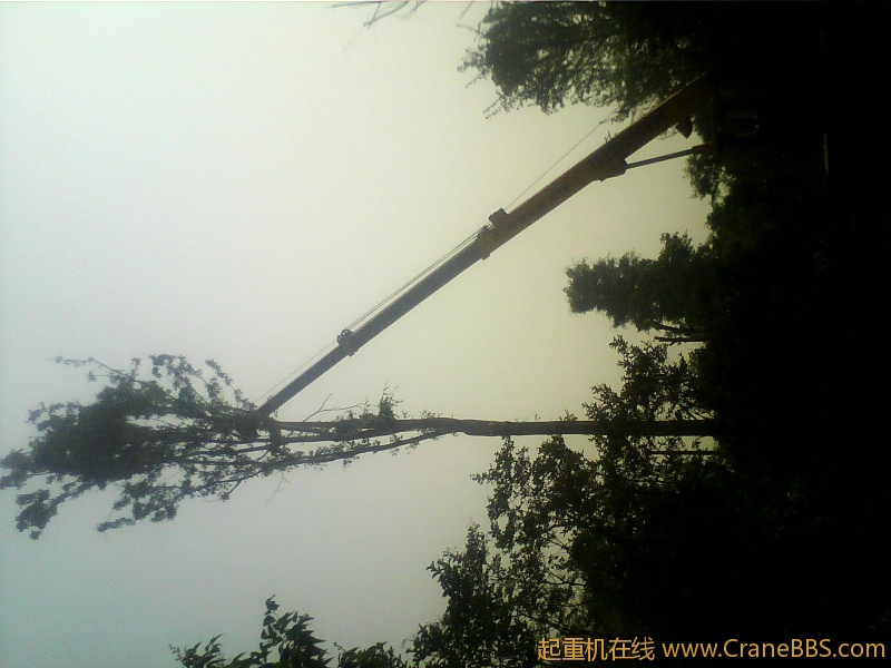 2012-05-17 09.25.53.jpg