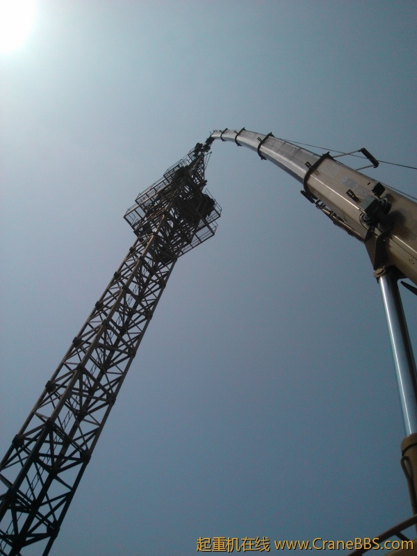 IMG_20120428_134652.jpg