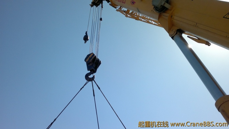 照片 003.jpg