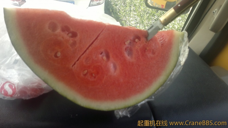 照片 031.jpg