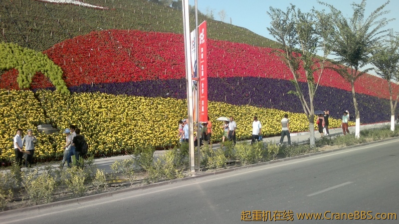 照片 135.jpg