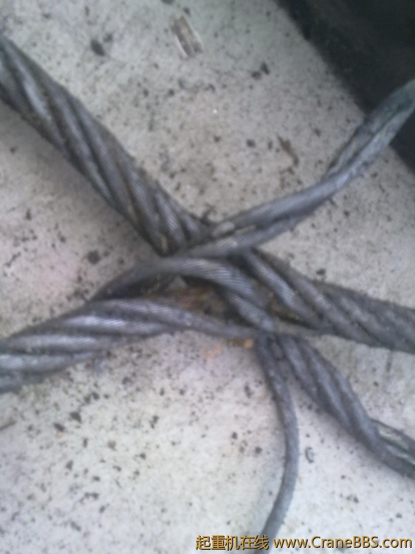 20120901295.jpg