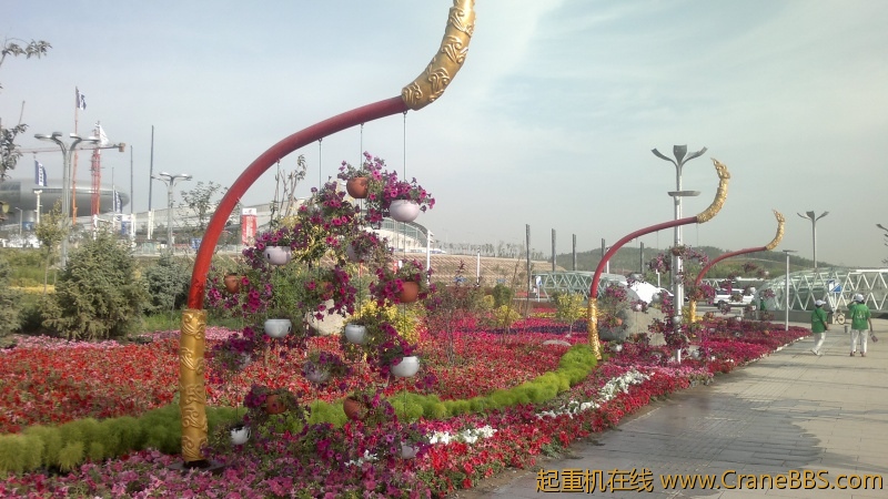 照片 008.jpg