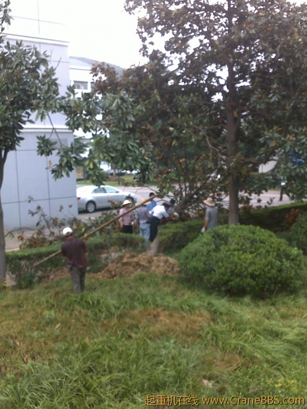 201208101576.jpg