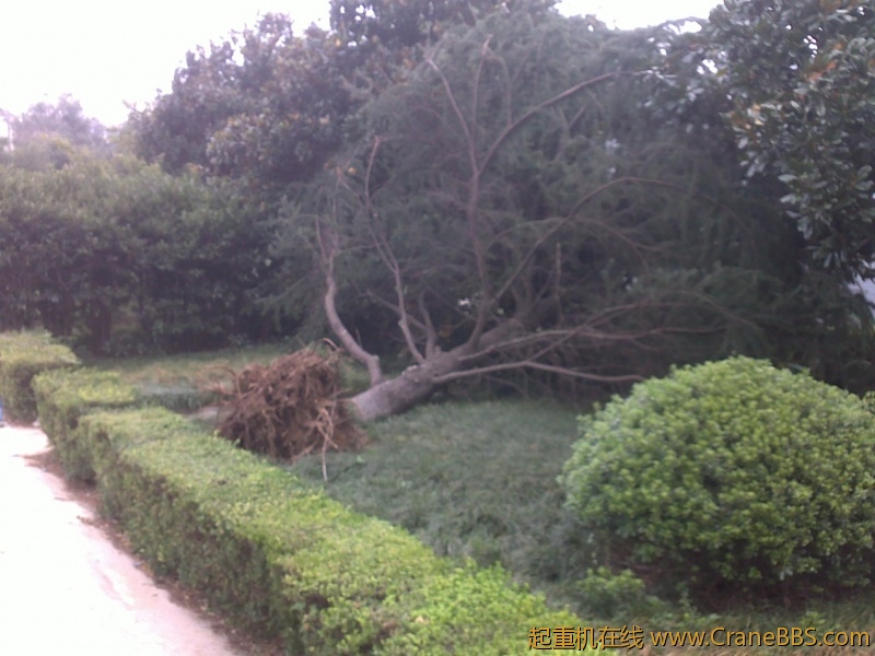 201208101577.jpg