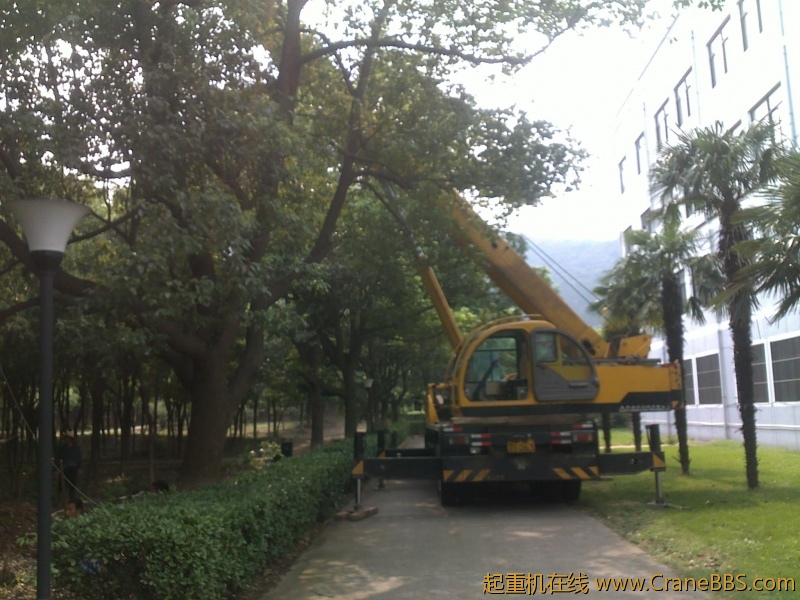 201208101578.jpg