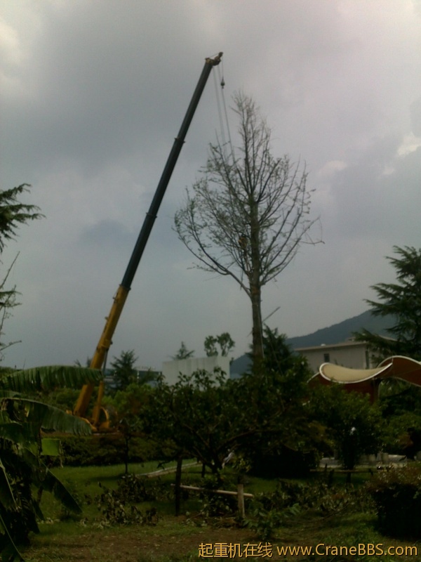 201208101571.jpg