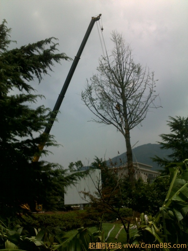 201208101572.jpg