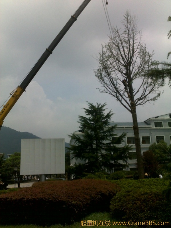 201208101574.jpg