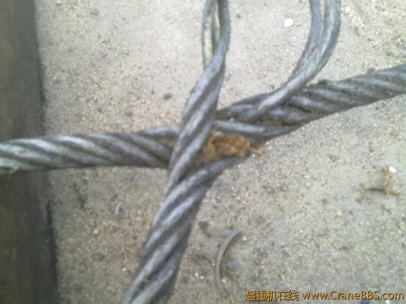 20120901302.jpg