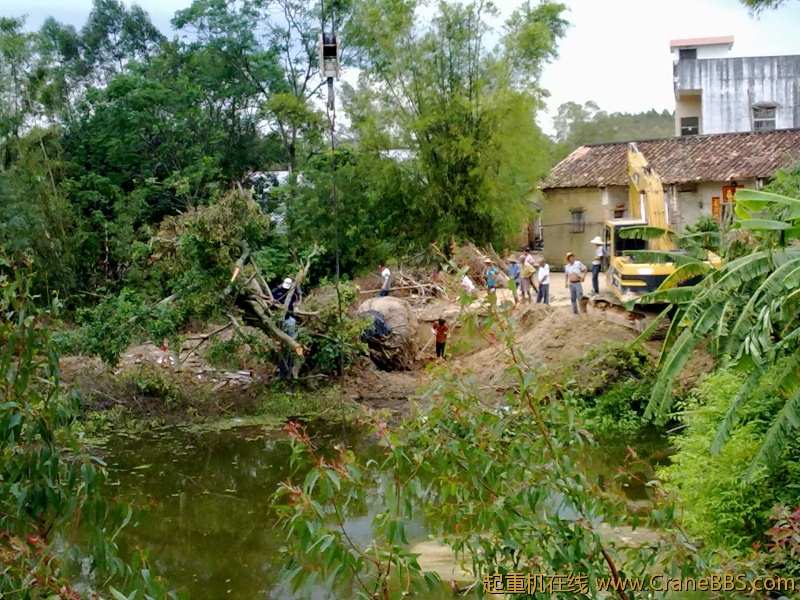 20120905269.jpg