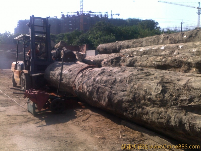 201209291974.jpg
