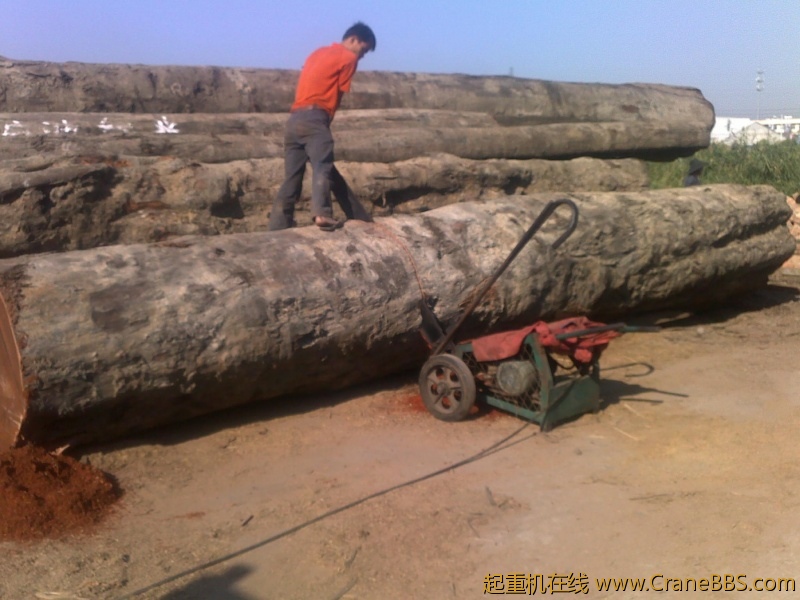 201209291973.jpg
