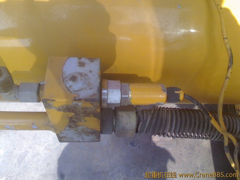 IMG1101130100.jpg