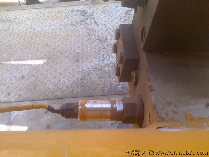 IMG1101130101.jpg