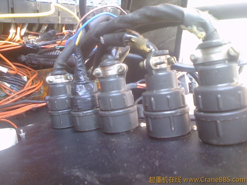 IMG1101130102.jpg