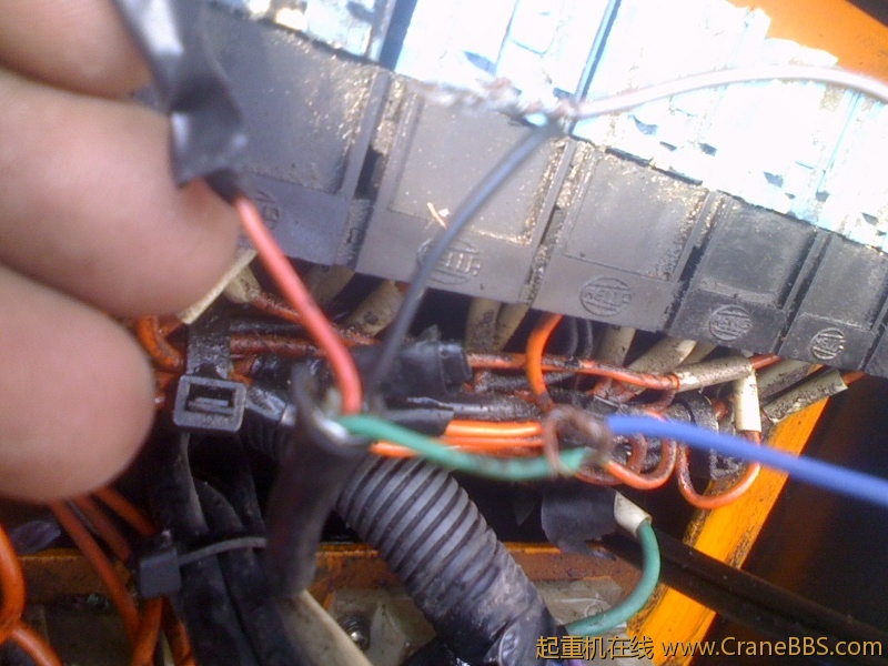 IMG1101130200.jpg