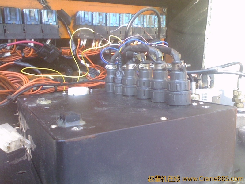 IMG1101130201.jpg