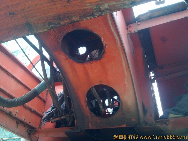 20120315785.jpg