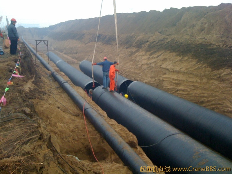 手机照片 790.jpg