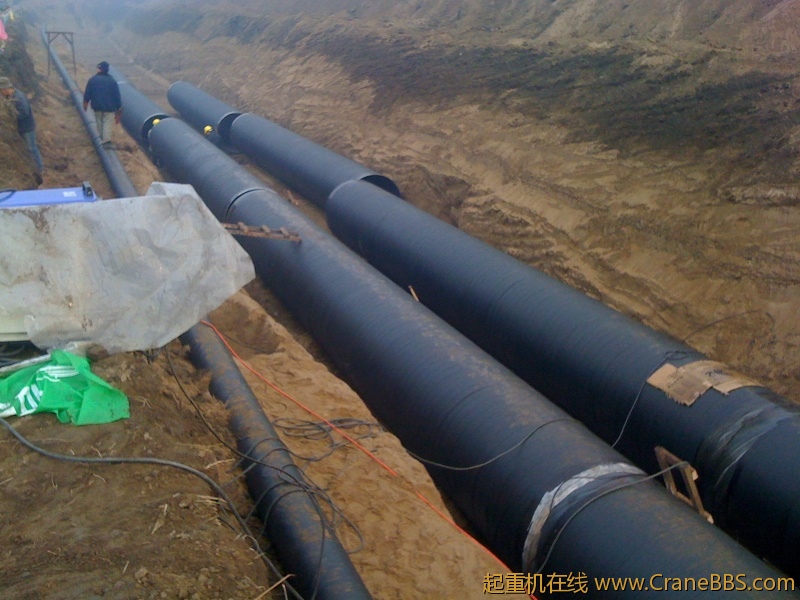 手机照片 785.jpg