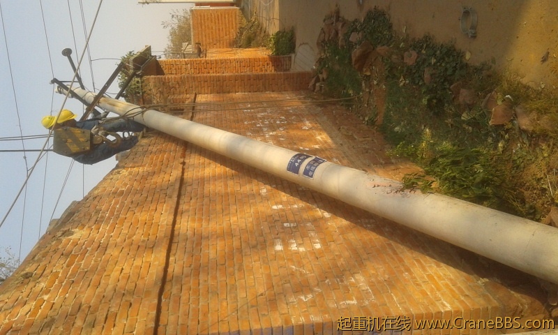 前两天风太大了树把电线杆压倒了