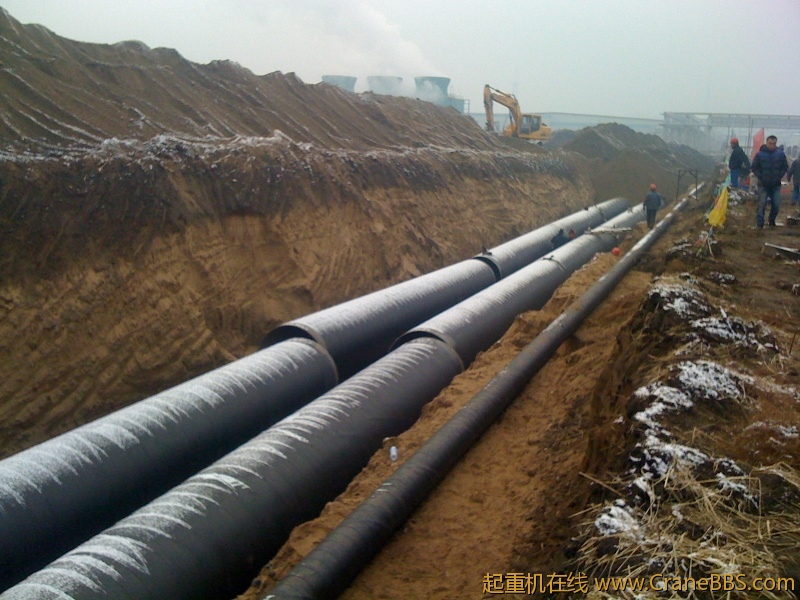 手机照片 801.jpg