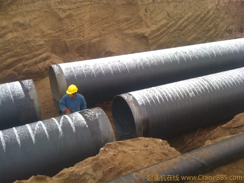 手机照片 799.jpg