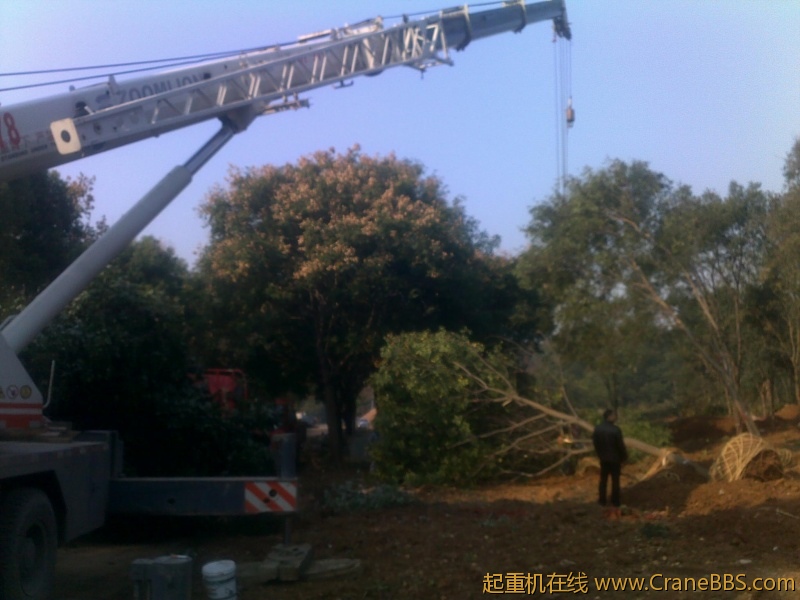 201211062182.jpg