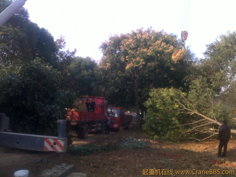 201211062183.jpg