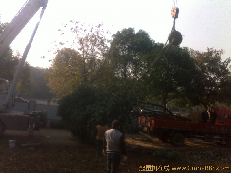 201211062184.jpg