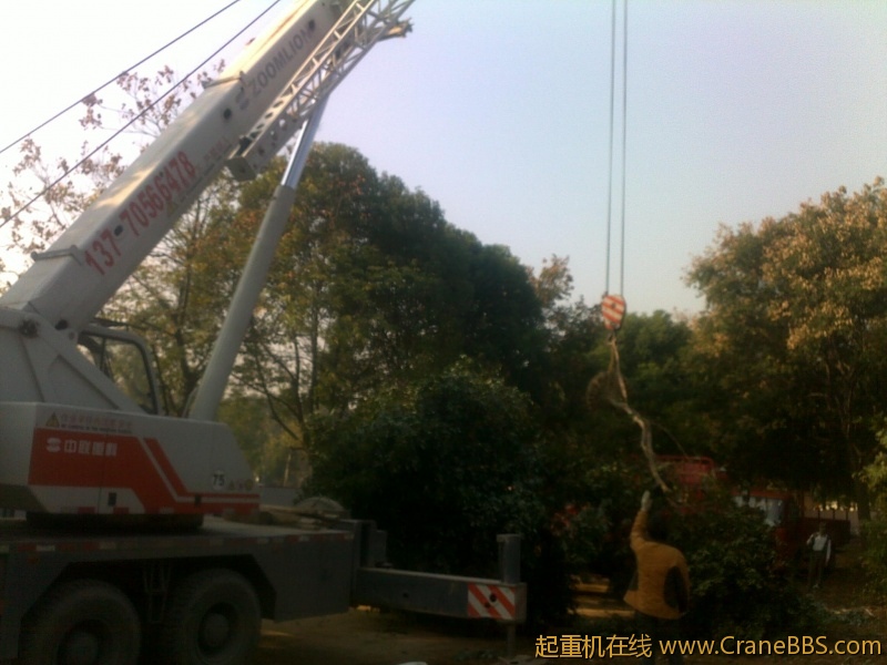 201211062185.jpg