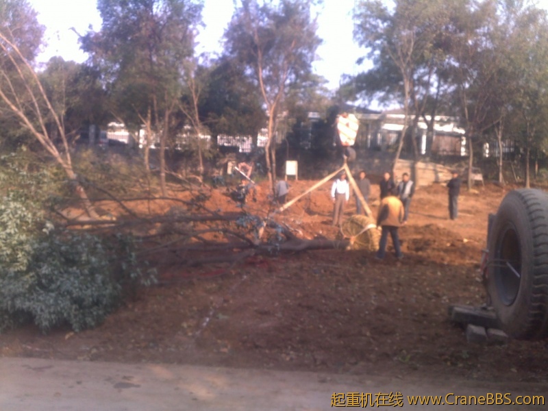 201211062180.jpg