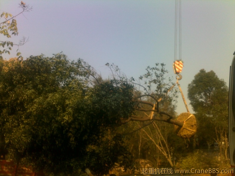 201211062181.jpg