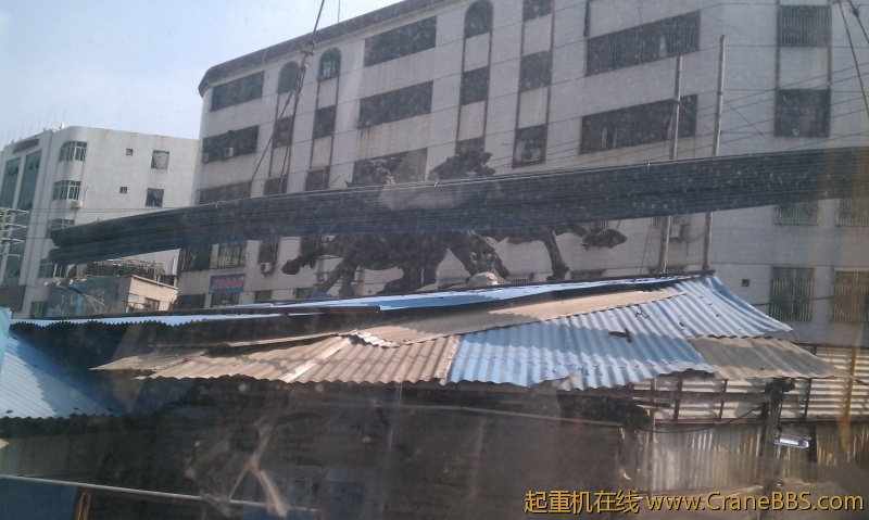 IMAG0204.jpg