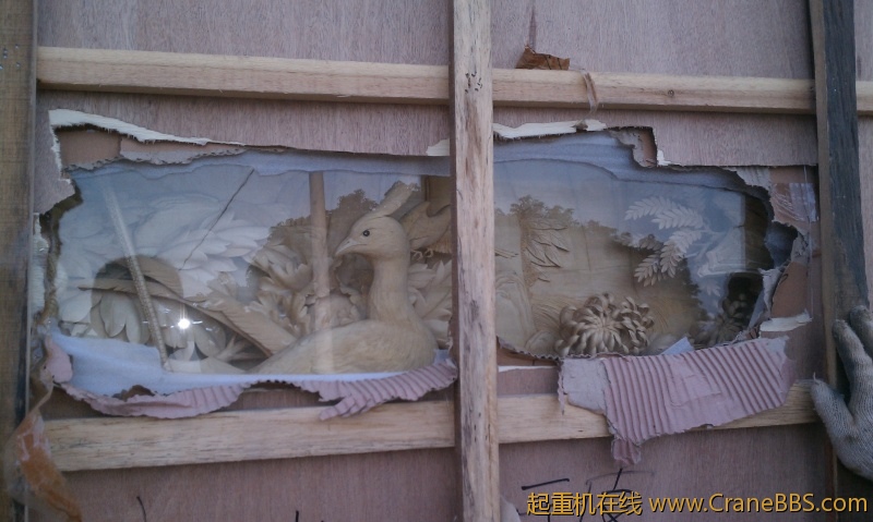 IMAG0221.jpg