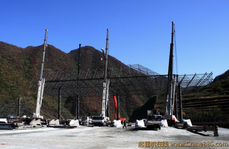 调整大小 调整大小 IMG_4830.JPG