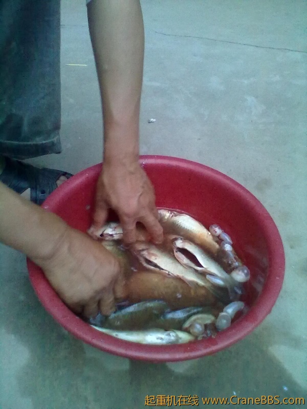 20120517771.jpg