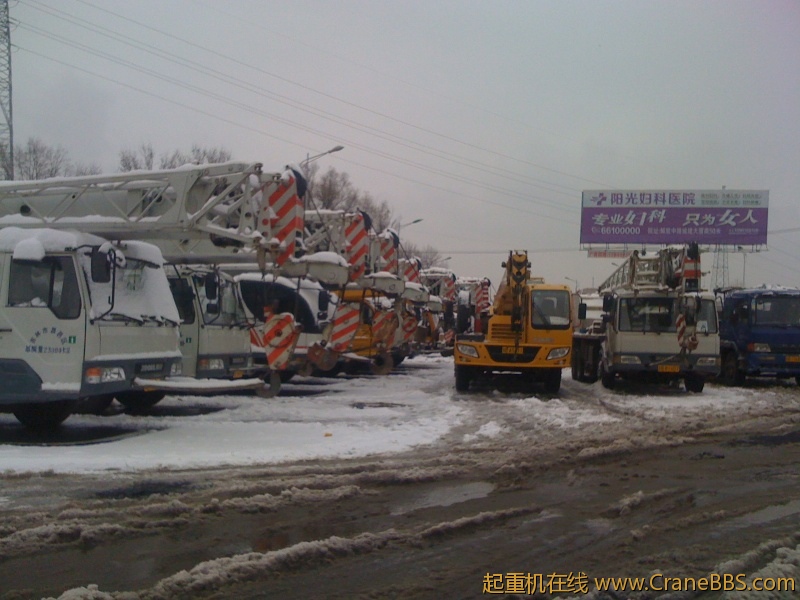 手机照片 893.jpg