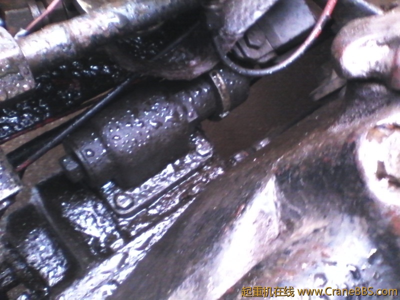 IMG_20121115_130502.jpg