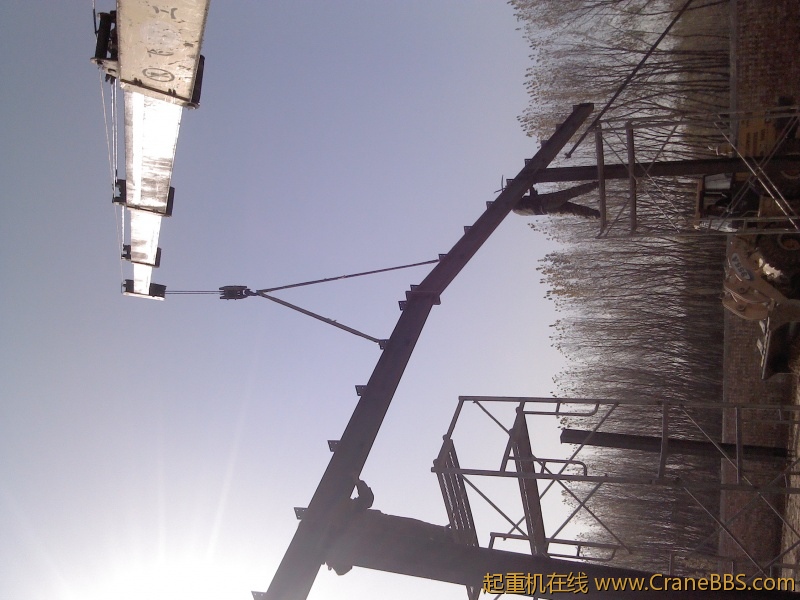 IMG_20121113_132806.jpg