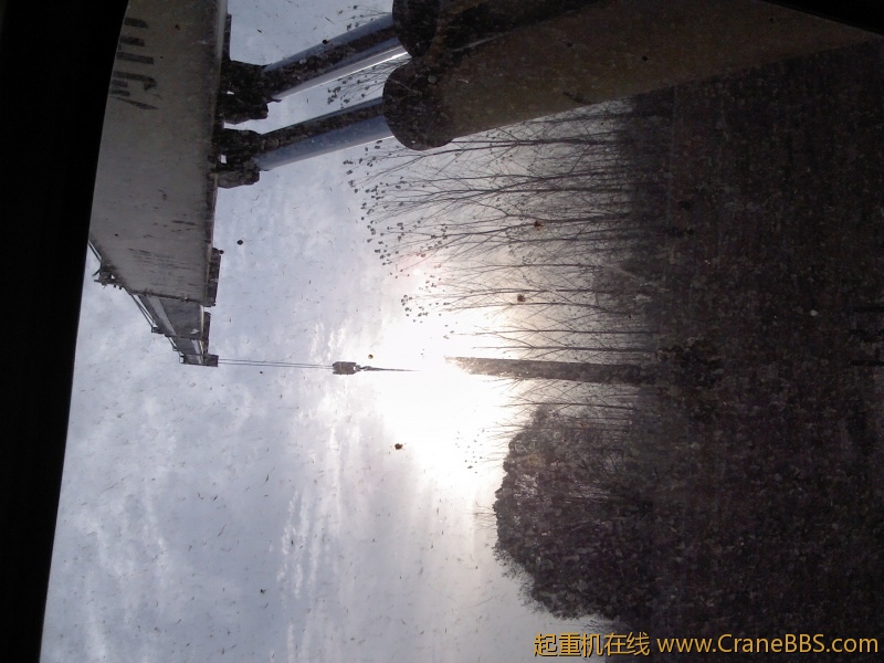 IMG_20121116_081338.jpg