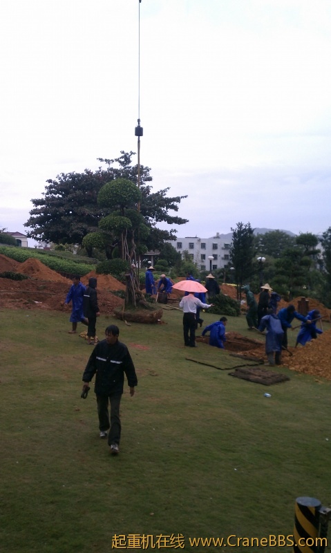 IMAG0248.jpg