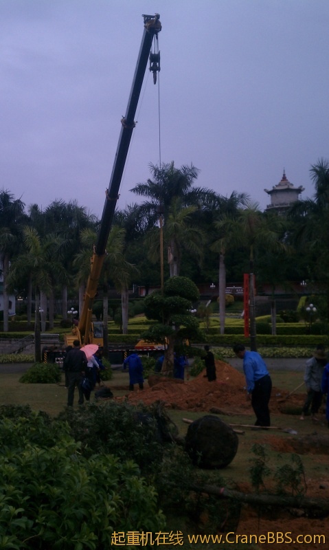 IMAG0251.jpg
