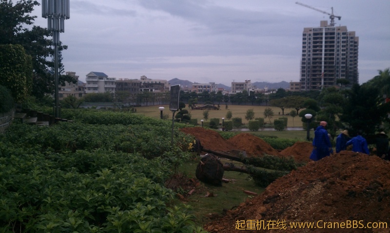 IMAG0252.jpg