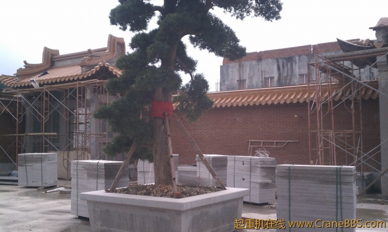 IMAG0291.jpg
